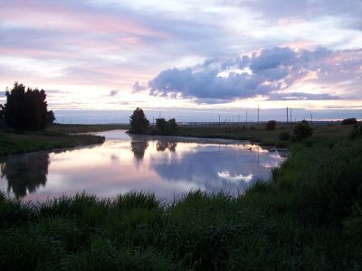 Щит 2009. Рассвет