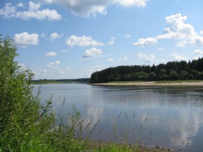 Унжа