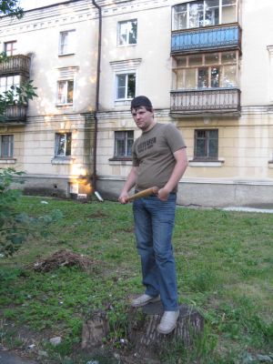 Диса с битой