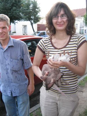 кисятина Клерки