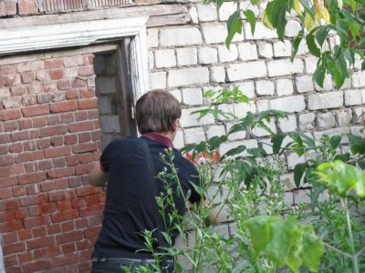 Мультик пишет код