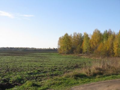 IMG_9826_новый размер