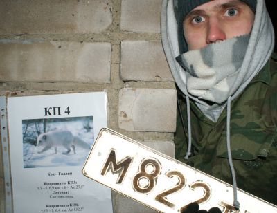 Мерлинка анфас))) РАЗЫСКИВАЕТСЯ;-) номер 822 ;-)