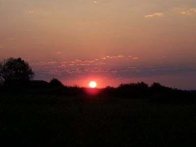 солнце нового дня