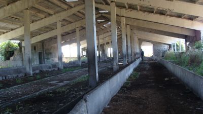 "Пациенты на Акценте" - Программа развития села в действии
