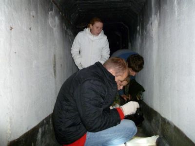 журналы