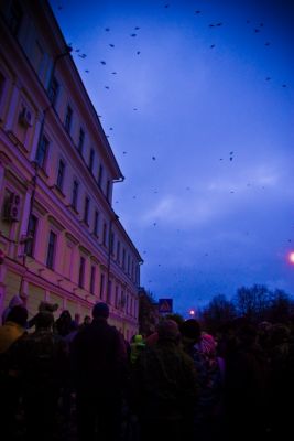 вороны