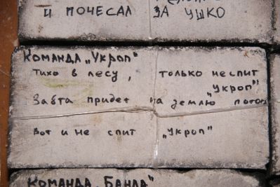 Укроп не спит