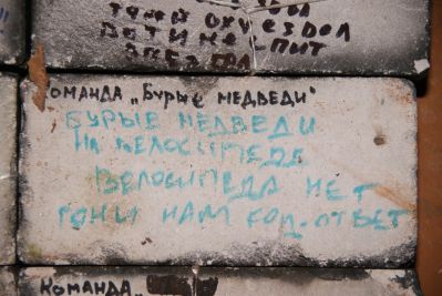 а Медведи спят