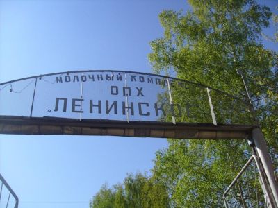 S7301553