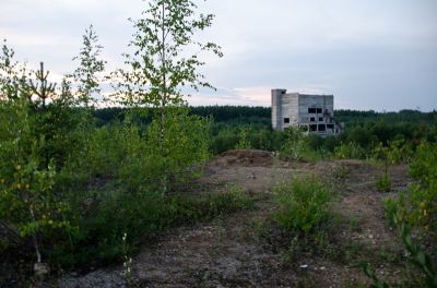 DSC_1136~0