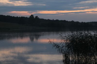 IMG_0317