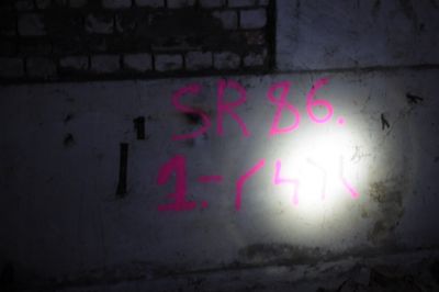 z_06d3f702