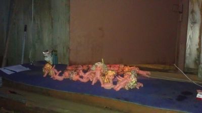 IMAG0426