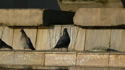 Все должны принимать ванну, то есть просто делать водные процедуры...