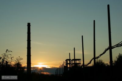 IMG_0225