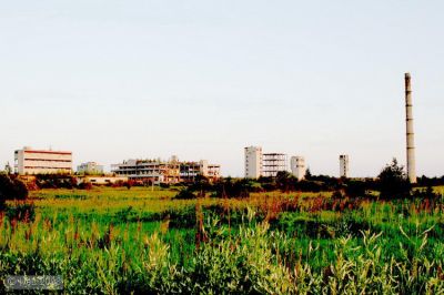 IMG_0162