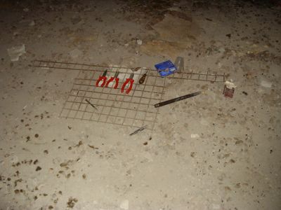 IMGP0721