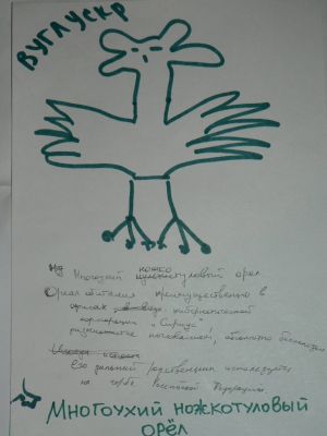 Многоухий ножкотуловый орёл (Вуглускр)