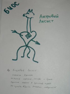 Амуровый лисист (Б.И.О.С.)