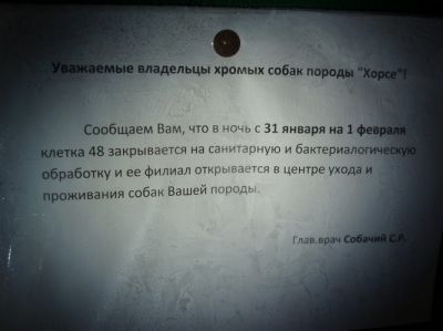 Задание