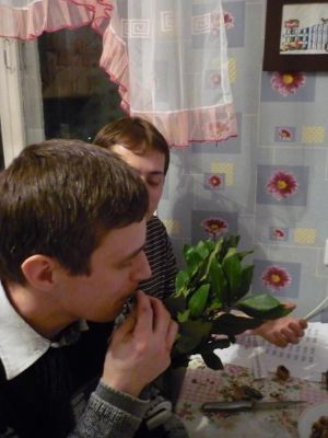 Философф и лаврушка