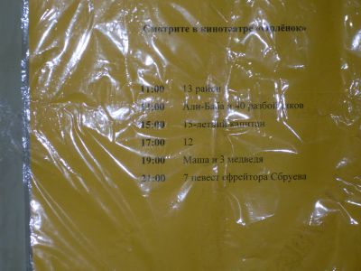 SDC10294