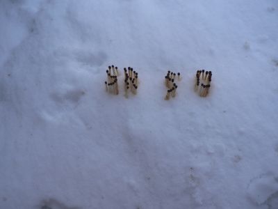Заготовка для торжественного сожжения