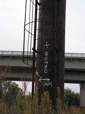 3036