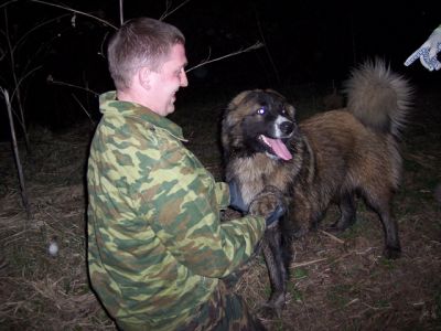 Локация на Деминской. Дай, Бима, лапу.