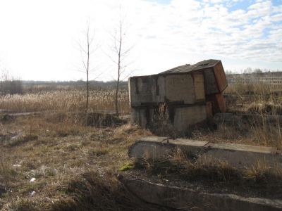 на залинейной
