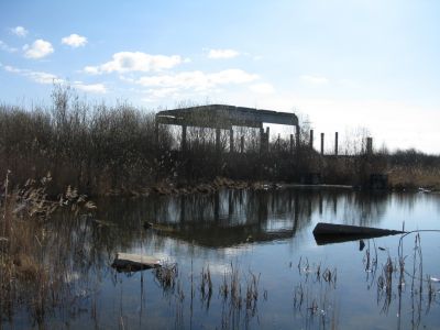достаем водные коды