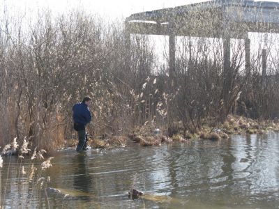 достаем водные коды